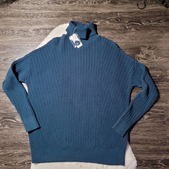 NWT Lord & Taylor Cotton Blend Turtleneck in Colour Reflecting Pond (Teal) Sz S - Picture 2 of 8